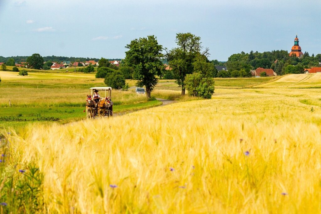 vente exploitation agricole céréalière